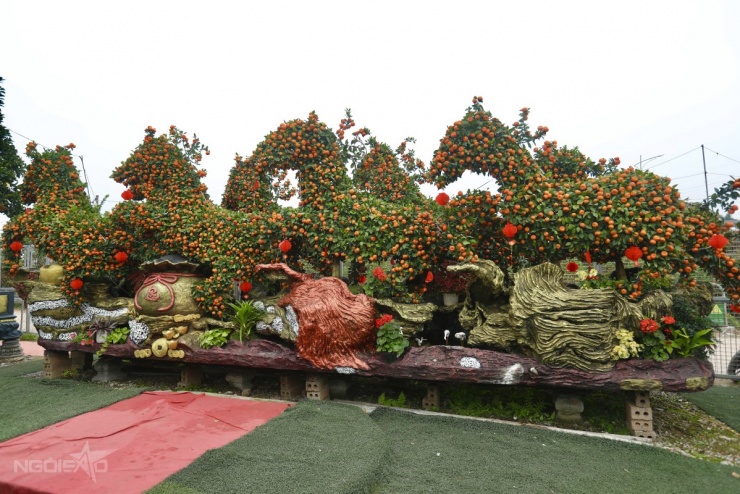 Chậu quýt 'Mã đáo thành công' giá hơn 400 triệu đồng - 2