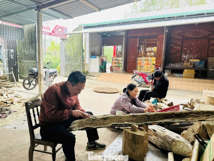 Xã Phúc Trạch (Hà Tĩnh) được xem là “thủ phủ” nơi có diện tích trồng cây dó bầu và sản xuất các mặt hàng từ trầm hương lớn nhất Hà Tĩnh. Qua thống kê của UBND xã Phúc Trạch, hiện người dân địa phương đang sở hữu khoảng 200 cây dó trầm (hay cây dó bầu, trầm hương) cổ thụ, quý hiếm, có tuổi đời 50-90 năm.