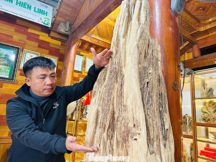 Sau gần một tháng tiến hành chế tác thô phần trầm phía trên, ông Chính phát hiện toàn bộ thân cây đều được hình thành trầm tự nhiên, liền khối. Do mới chỉ hoàn thiện bước chế tác thô ở phần trên nên gốc trầm hiện vẫn chưa được hoàn thiện hoàn toàn.