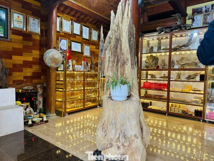 Theo chủ cơ sở, khối gỗ trầm này đã được khách hàng hỏi mua với giá hơn 500 triệu đồng nhưng gia đình chưa đồng ý bán.