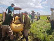 Việt Nam tiếp tục mang hạt giống lúa mới sang Cuba, Trung Quốc cam kết hỗ trợ Cuba 60.000 tấn gạo