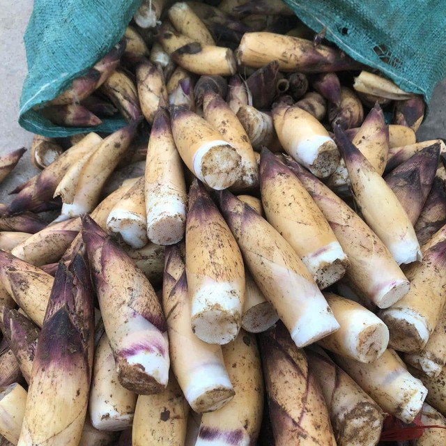 Măng vầu đầu mùa được bày bán tại chợ dân sinh với giá 60.000–70.000 đồng/kg.