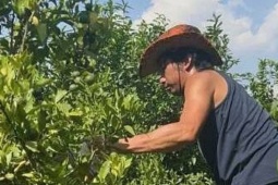 Thiếu gia 3 bằng thạc sĩ bỏ biệt thự đi rửa bát thuê