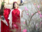 Thời tiết cả nước dịp Tết Nguyên đán Bính Ngọ 2026 thế nào?