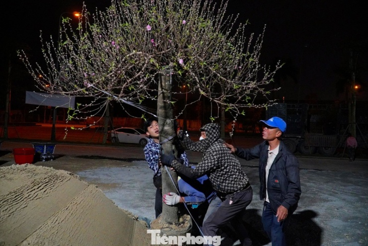 Dù làm việc xuyên đêm trong điều kiện thời tiết lạnh, ai nấy đều khẩn trương, mong mang đến cho thị trường những sản phẩm đẹp nhất.