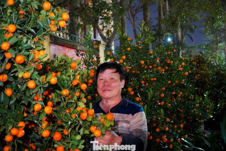 Anh Nguyễn Văn Thanh (trú phường Trần Phú) cho biết, năm nay gia đình anh đưa về khoảng 4.000 gốc bưởi và quất để phục vụ thị trường Tết. Với kinh nghiệm nhiều năm kinh doanh cây cảnh dịp Tết, anh Thanh nhận định, mặc dù thời tiết năm nay không thật sự thuận lợi, song nhờ chăm sóc kỹ lưỡng nên cây cảnh và hoa vẫn sinh trưởng tốt, dáng đẹp, chất lượng đảm bảo.