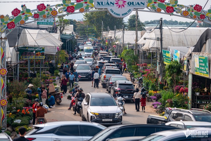 Chiều chủ nhật 1/2, làng hoa Xuân Quan (Văn Giang, Hưng Yên) nhộn nhịp. Dù còn khoảng 2 tuần nữa mới tới Tết Nguyên đán, dọc tuyến đê ven sông Hồng, xe tải đã nối dài để ra vào giao dịch, vận chuyển hàng. Ngoài ra, nhiều xe cá nhân từ Hà Nội và tỉnh lân cận cũng xuất hiện tại đây. Cả khu chợ luôn trong không khí mua bán nhộn nhịp từ sáng sớm đến chiều muộn. Trong số này, nhiều khách đi sắm hoa Tết về chơi sớm.