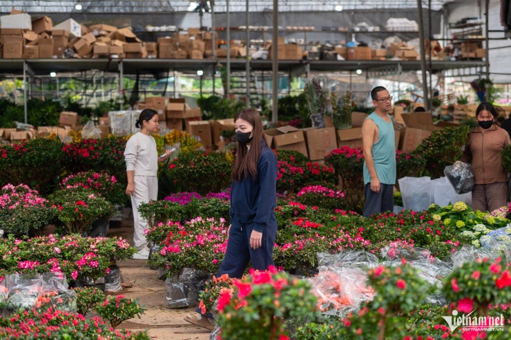 Thủ phủ cây cảnh miền Bắc nhộn nhịp, người dân đổ về mua hoa chơi Tết sớm - 4