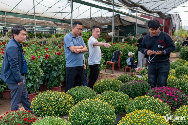 Thủ phủ cây cảnh miền Bắc nhộn nhịp, người dân đổ về mua hoa chơi Tết sớm - 6