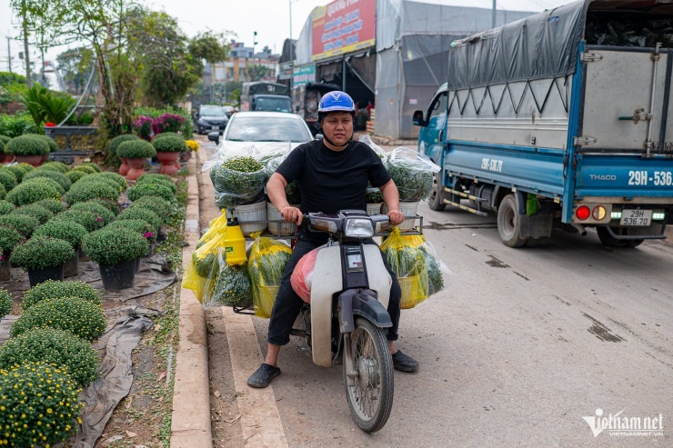 Xuân Quan là một trong những vùng trồng hoa, cây cảnh lớn của miền Bắc, cung ứng sản phẩm cho thị trường Thủ đô và các tỉnh, thành mỗi dịp Tết Nguyên đán.