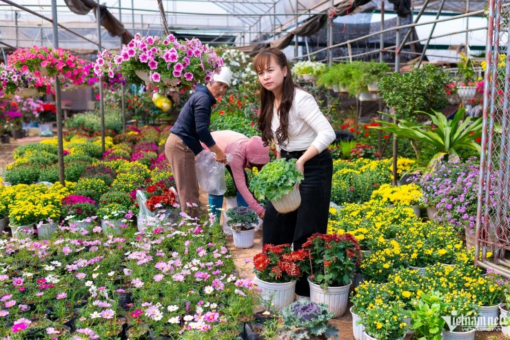 Đi từ Hải Phòng xuống chợ hoa Văn Giang (Hưng Yên), chị Phạm Thu Thảo cho biết dành trọn một ngày chủ nhật đi chợ hoa Xuân Quan và làng gốm Bát Tràng. “Dù mua khá nhiều hoa từ sáng tôi chỉ tốn hơn 2 triệu đồng. Các loại hoa ở đây rất đa dạng, giá thành hợp lý, tôi đã tự lên phương án trang trí trong nhà những ngày Tết”, chị Thảo chia sẻ.