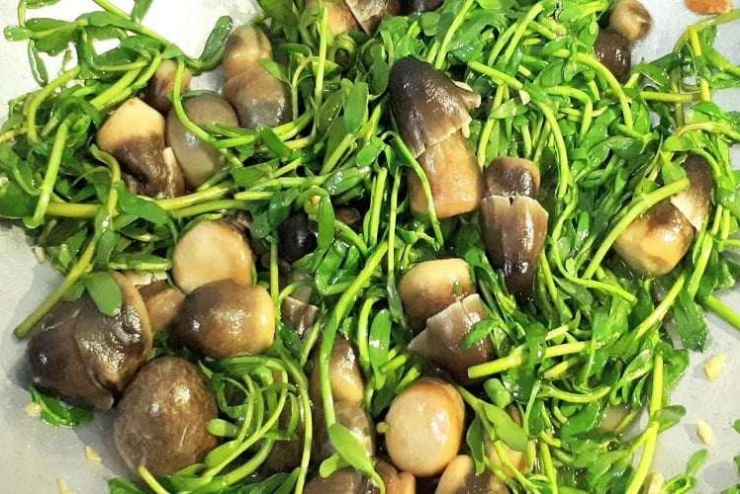 Ngoài những lợi ích kể trên, rau đắng còn được ghi nhận có tác động tích cực đến hệ thần kinh, giúp ổn định các phản ứng dẫn truyền và hỗ trợ ngăn ngừa một số rối loạn thần kinh, trong đó có nguy cơ xuất hiện các cơn động kinh. Ảnh minh họa