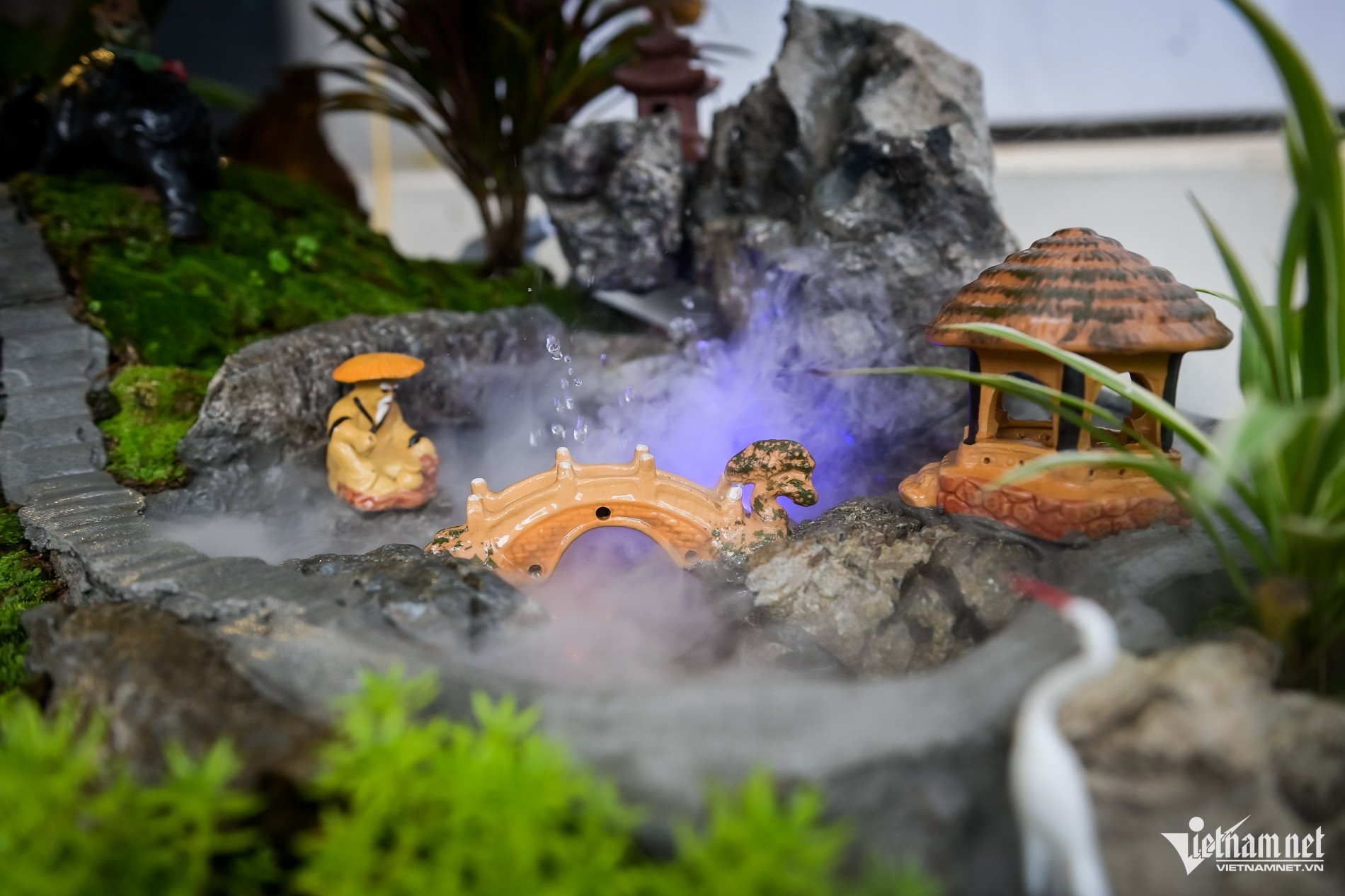 Quất tiểu cảnh gần 20 triệu/chậu ngày giáp Tết, nhà vườn Ninh Bình làm không kịp bán - 4