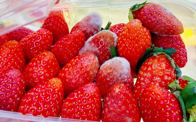 5 thói quen trong bếp khiến độc tố âm thầm tích tụ trong cơ thể, nhiều gia đình Việt đang mắc phải mà không hay biết - 1