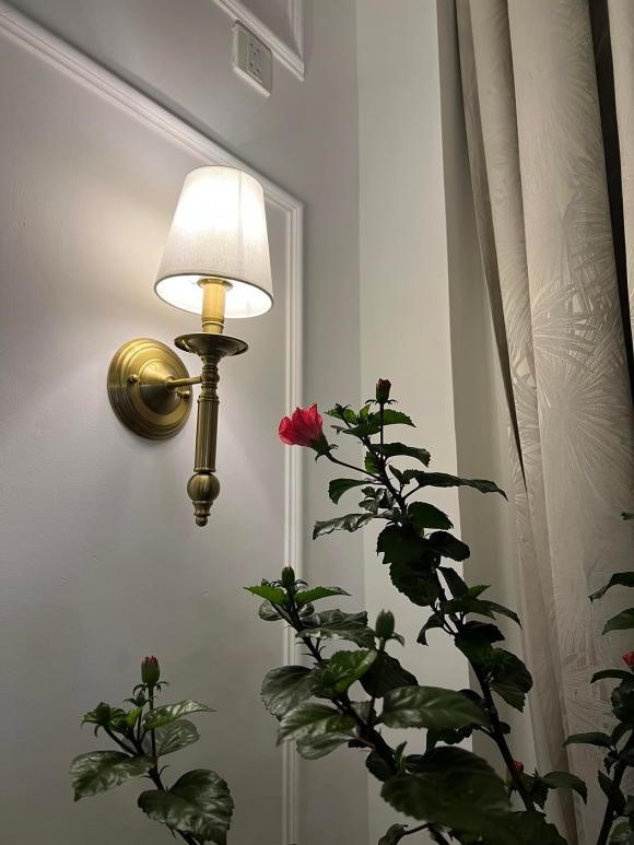 Nam ca sĩ trồng nhiều cây xanh để làm nổi bật căn hộ.