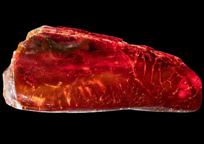 Viên hổ phách của đại thi hào Johann Wolfgang von Goethe chứa một hóa thạch 40 triệu tuổi - Ảnh: BẢO TÀNG QUỐC GIA GOETHE