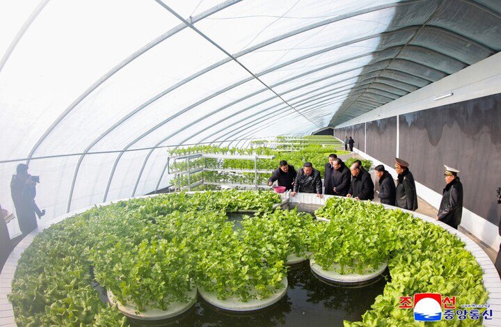 Ông Kim Jong-un cho rằng việc xây dựng trang trại nhà kính tổng hợp Sinuiju là một trong những dự án lớn nhất được thực hiện trong nhiệm kỳ thứ 8 của Đảng Lao động Triều Tiên.