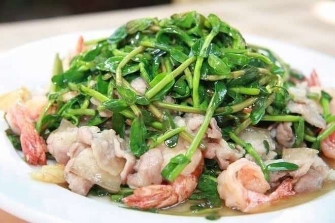 Trong y học cổ truyền Ayurveda của Ấn Độ, rau đắng từ lâu đã được sử dụng như một dược liệu hỗ trợ hoạt động của não bộ. Một số hợp chất tự nhiên trong rau có khả năng kích thích các phản ứng sinh hóa trong não, từ đó giúp cải thiện khả năng tập trung, tăng cường trí nhớ và hỗ trợ chức năng nhận thức. Ảnh minh họa