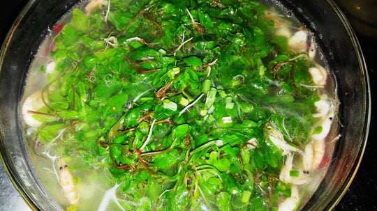 Canh rau đắng nấu tép rong. Phụ nữ mang thai cần đặc biệt cẩn trọng, bởi một số nghiên cứu trên động vật cho thấy các hoạt chất trong rau đắng có thể gây co bóp tử cung và làm tăng nguy cơ sảy thai hoặc xuất huyết. Trong trường hợp xuất hiện các triệu chứng như buồn nôn, khó tiêu hoặc tiêu chảy sau khi ăn, người dùng nên ngừng sử dụng và đến cơ sở y tế để được tư vấn kịp thời. Ảnh minh họa