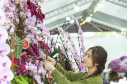 Nông dân Thanh Hóa chi hơn 10 tỷ làm vườn lan 4 vạn cây