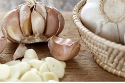 Ăn tỏi sai cách, coi chừng rước bệnh vào người