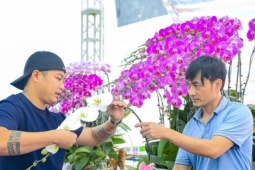 Nghề 'đếm cành lấy tiền' hốt bạc mùa Tết ở Thanh Hóa