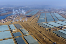 Ảnh hiếm trang trại nhà kính lớn nhất Triều Tiên