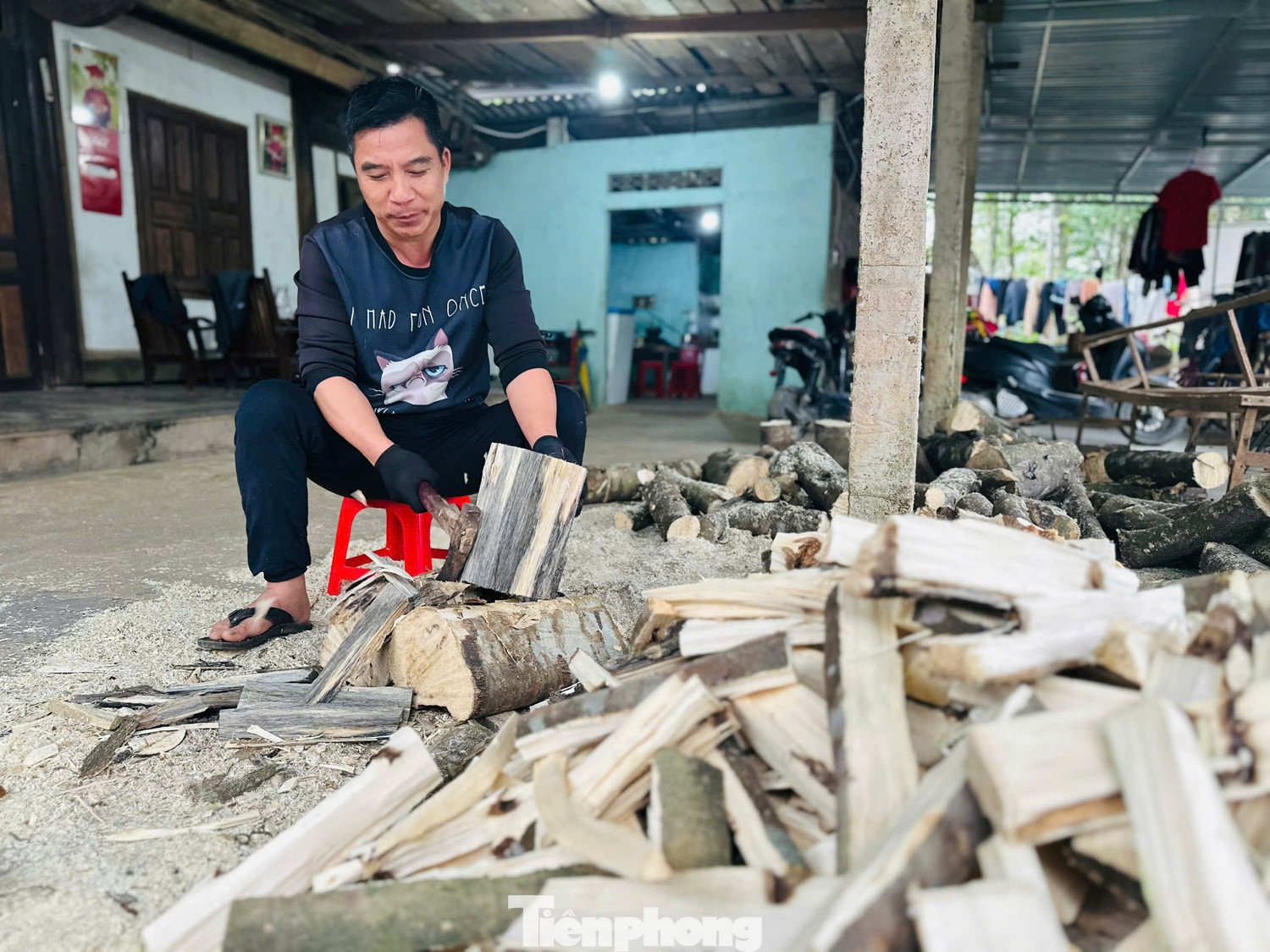 Theo thống kê tại xã Phúc Trạch hiện có tổng diện tích trồng cây dó trầm hơn 780 ha, cùng với sự tham gia của 2 doanh nghiệp, 1 hợp tác xã và làng nghề truyền thống đã tạo thành một chuỗi cung ứng khép kín từ trồng trọt đến chế tác tinh xảo.