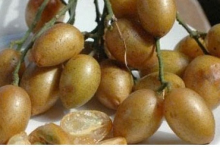 Quất hồng bì: Loại quả nhỏ nhưng “giấu” nhiều công dụng ít người biết