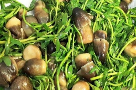 Xưa là rau dại, nay là "rau nhà", giá bán "hạt rẻ" mà cực giàu dinh dưỡng, giúp giảm cân, ngủ ngon, ngừa cả ung thư