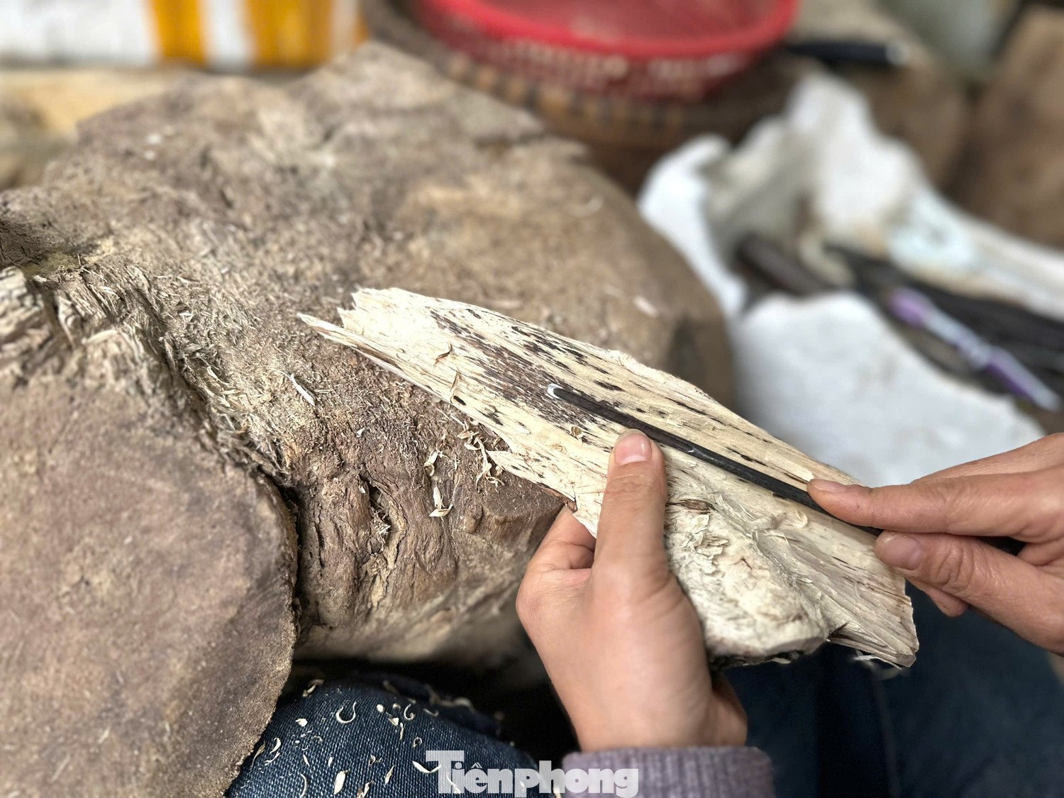 Khối gỗ trầm hương cổ thụ quý hiếm được trả giá nửa tỷ đồng ở Hà Tĩnh - 12