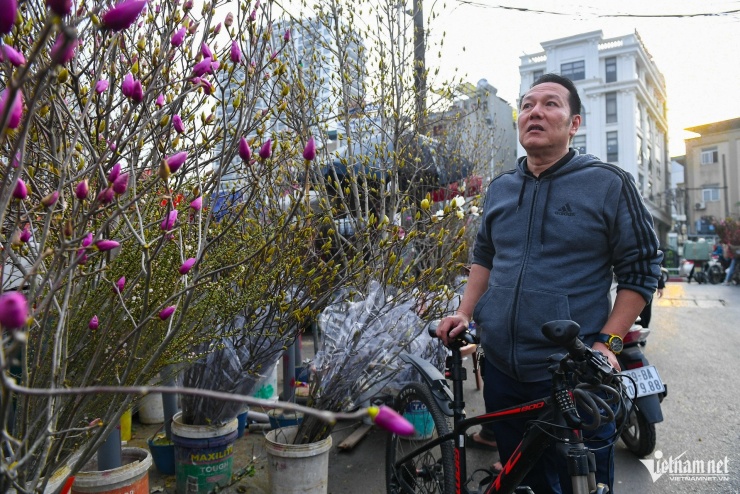 Một cây mộc lan cao khoảng 3m có giá 6 triệu đồng thu hút sự chú ý của nhiều khách đi chợ hoa. "Nếu tất cả số nụ này đều nở bung màu tím thì quả thực sẽ rất đẹp mắt", vị khách hàng trầm trồ.