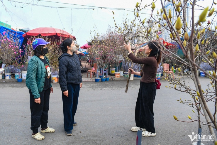 Loại hoa ‘ngủ đông’ mới lạ vừa xuất hiện ở Hà Nội đã gây sốt - 4