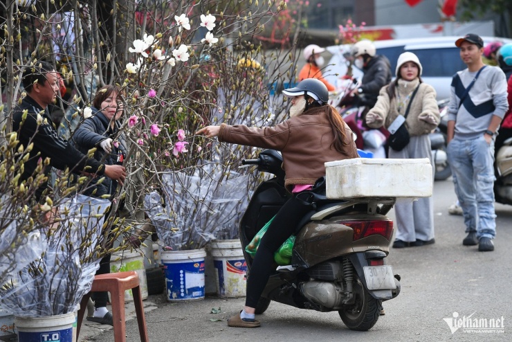 Loại hoa ‘ngủ đông’ mới lạ vừa xuất hiện ở Hà Nội đã gây sốt - 8