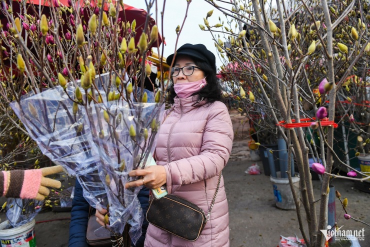 Loại hoa ‘ngủ đông’ mới lạ vừa xuất hiện ở Hà Nội đã gây sốt - 9