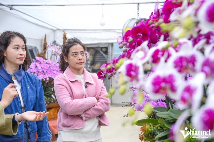 Nhiều khách hàng đến chọn lan. Ảnh: Lê Dương