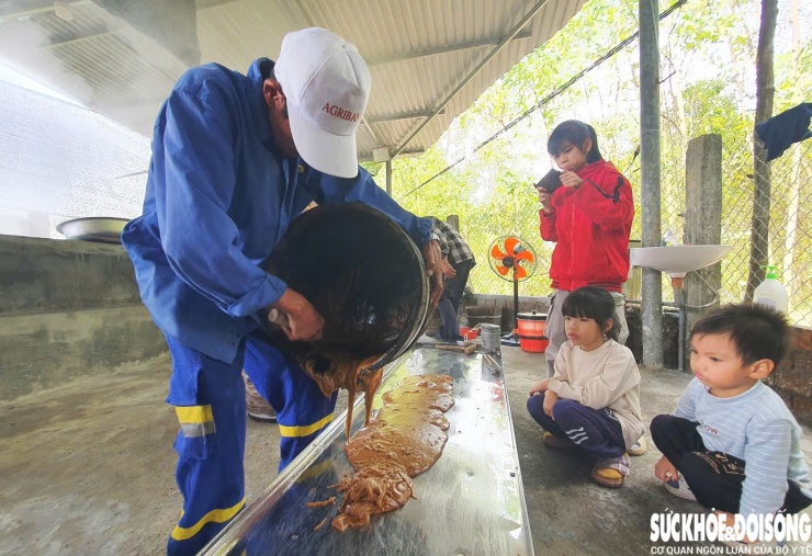 Những ngày này, lò đường Đất Quảng trở nên nhộn nhịp hơn bao giờ hết, khi nhiều du khách tìm về để check-in, mua đường và tận mắt trải nghiệm quy trình nấu đường thủ công từ cây mía. Đây cũng là lò đường hiếm hoi còn giữ được cách làm đường truyền thống giữa nhịp sống hiện đại.