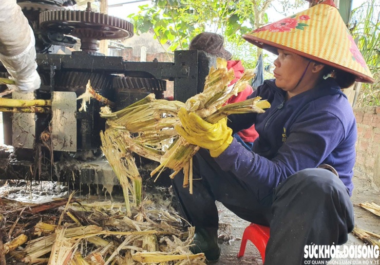 Theo những người thợ lành nghề, mía sau khi thu hoạch sẽ được ép lấy nước, lọc bỏ cặn bã rồi đưa lên bếp nấu.