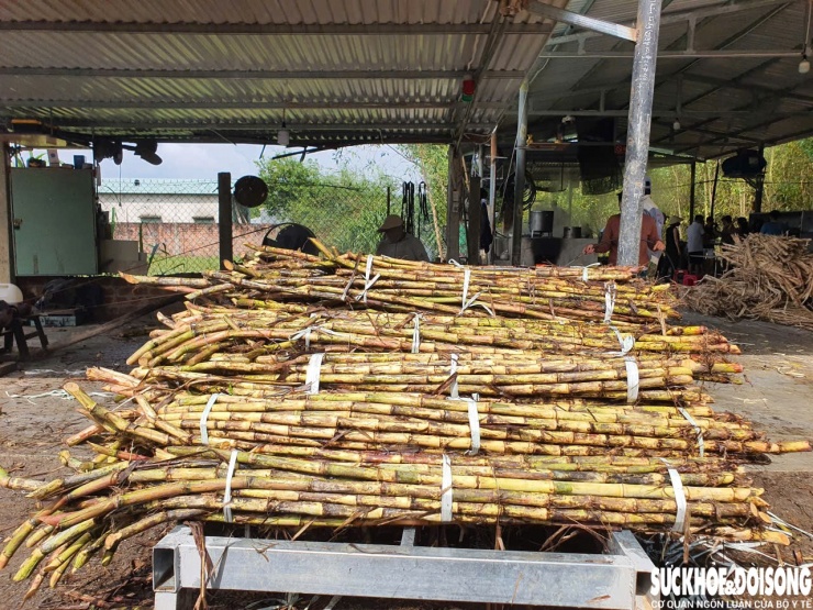 Chủ lò đường Đất Quảng, ông Nguyễn Văn Thắng (41 tuổi, trú xã Quế Sơn Trung) cho biết, Quế Sơn từng là vùng nổi tiếng với nghề trồng mía, nấu đường thủ công. Tuy nhiên, từ những năm 2000, hiệu quả kinh tế giảm sút khiến nhiều lò đường lần lượt đóng cửa. Sau thời gian bôn ba làm ăn xa, ông quyết định trở về quê mở lại lò đường với mong muốn giữ gìn nghề truyền thống và tạo việc làm cho lao động địa phương.