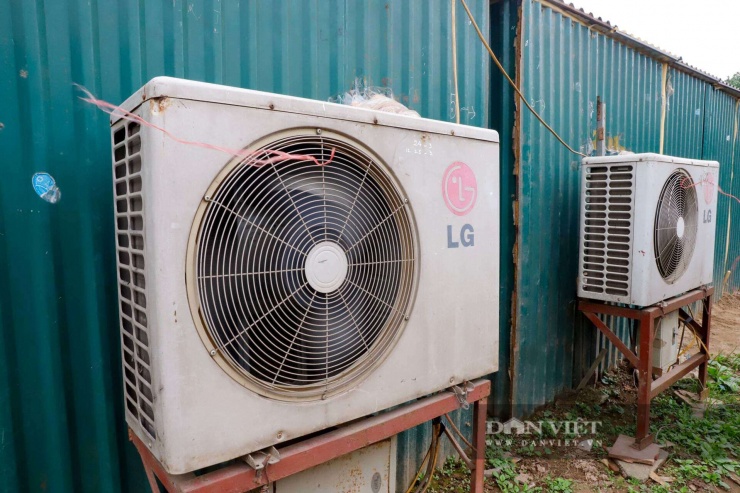 Đào Thất Thốn tiến Vua đỏng đảnh nằm phòng điều hòa, chờ đại gia đến rước về chơi Tết - 6