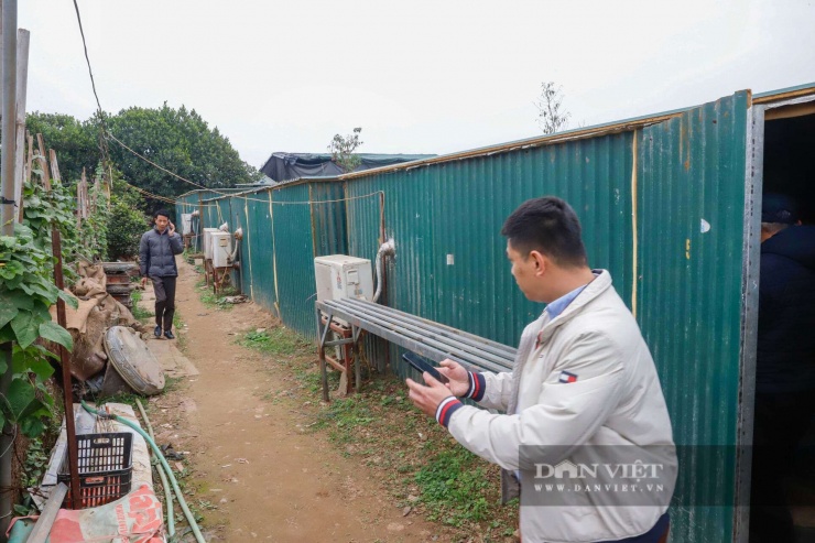 Cũng theo ghi nhận, để tránh ảnh hưởng đến sự phát triển của đào Thất Thốn, việc ra vào phòng điều hoa, chọn mua đào Thất Thốn được các chủ vườn giới hạn thời gian trong khoảng 5 phút.