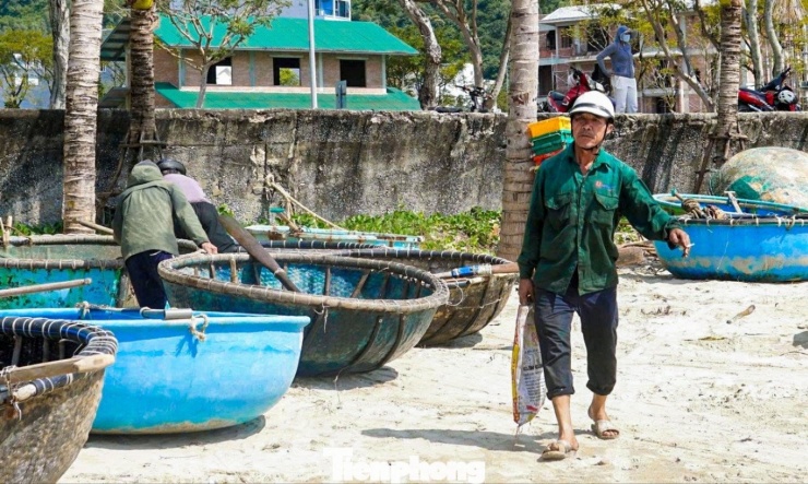 Theo ghi nhận, tại vùng biển Mân Thái (phường Sơn Trà), từ sáng sớm, nhiều ngư dân sử dụng thuyền thúng, ghe máy công suất nhỏ nối đuôi nhau rẽ sóng ra khơi. Công việc quen thuộc của họ là kiểm tra hệ thống bẫy đã được thả từ trước để thu gom tôm hùm giống.