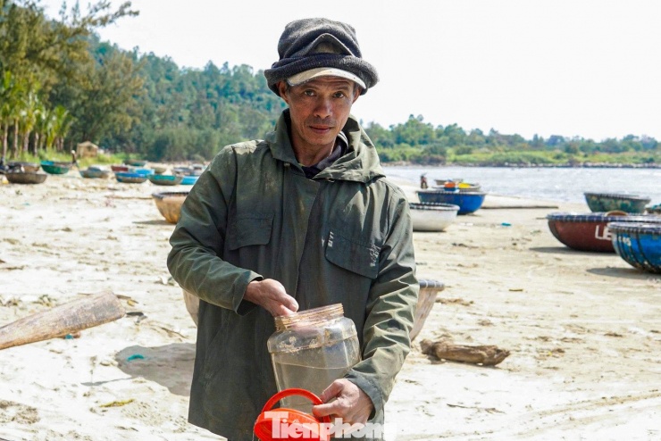 Gắn bó với nghề săn tôm hùm giống nhiều năm, ông Nguyễn Văn Sơn cho biết dù công việc khá vất vả nhưng bù lại thu nhập tương đối ổn định. “Có ngày tôi bắt được khoảng 40–60 con, bán ra cũng hơn 1 triệu đồng. Những hôm biển thuận, trúng đậm trên 100 con thì thu về 2–3 triệu đồng. So với đi lưới cá, săn tôm hùm giống cho lợi nhuận cao hơn, dù phải đối mặt với sóng gió”, ông Sơn chia sẻ.