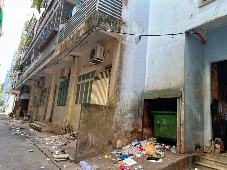 Hoa đã sẵn trước hiên nhà nhưng có lẽ vẫn chưa thấy không khí sắc Xuân ở nơi đây.