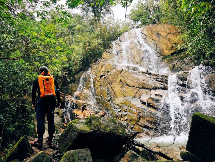 Ngay từ những bước chân đầu tiên, người đi đã cảm nhận rõ sự khác biệt của Pa Thiên - Voi Mẹp. Không còn cái lạnh cắt da của mùa Đông, thay vào đó là tiết trời se se, đủ mát để bước đi bền bỉ trên những con dốc dài. Rừng già khoác lên mình tấm áo mới: Dương xỉ vươn tán non, rêu phủ dày hơn trên thân cây, và đâu đó, những chùm hoa rừng lặng lẽ khoe sắc.