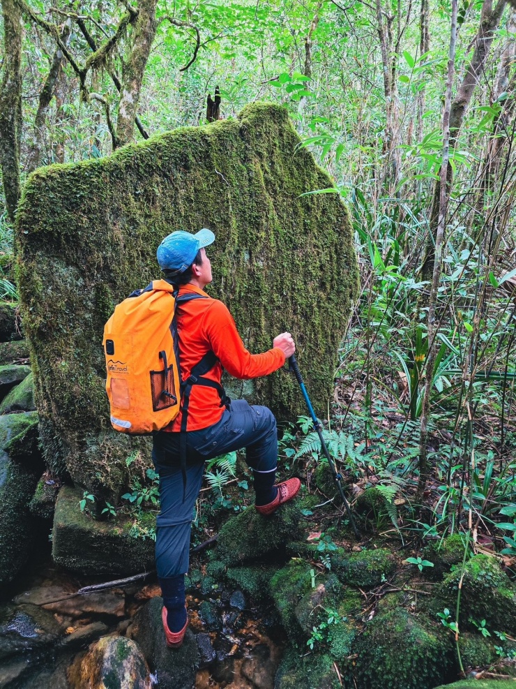 Những điểm dừng quen thuộc như Đá Lúc Lắc, thác Pa Thiên hay Bãi Đá Mới... mang một vẻ đẹp rất khác. Đá Lúc Lắc trầm mặc giữa rừng hoàng đàn cổ thụ, rêu xanh phủ kín, như một bức tượng điêu khắc của thời gian.