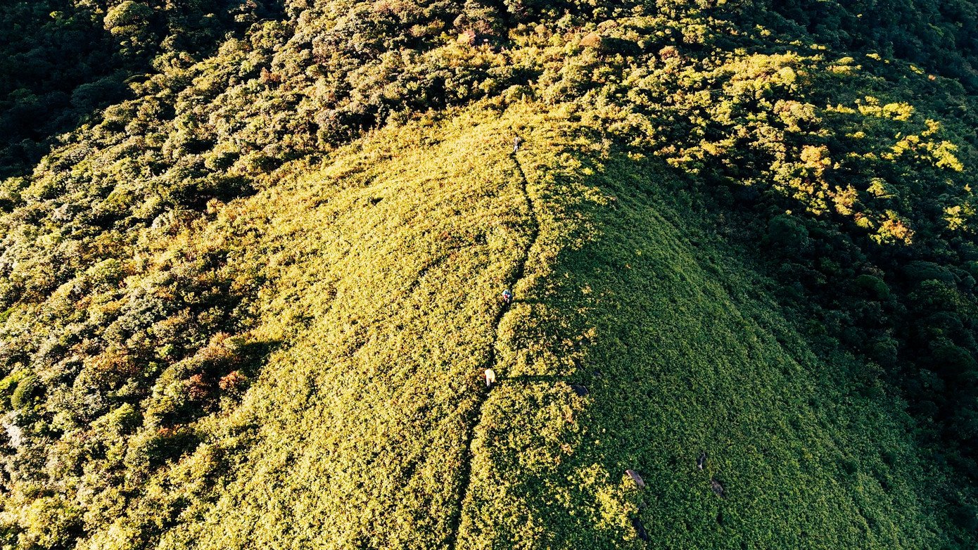 Càng lên cao, mây càng dày. Mùa Xuân là mùa săn mây đẹp nhất ở Pa Thiên - Voi Mẹp. Có lúc, mây tràn xuống tận lối đi, bồng bềnh như dòng sông trắng chảy giữa rừng già. Người đi rừng bước trong mây, giữa không gian mơ hồ, thực - ảo đan xen, khiến hành trình chinh phục núi cao trở nên nhẹ nhàng và giàu chất thơ.