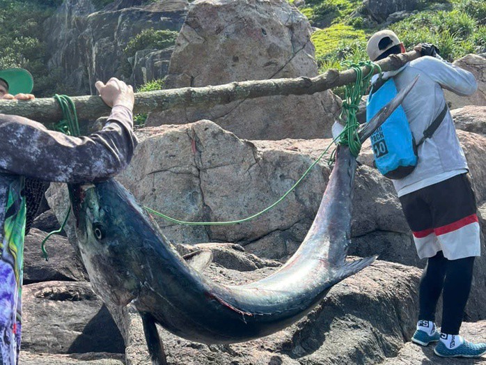 Ông Hải và bạn khiêng cá thu về