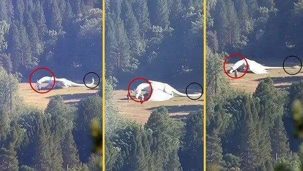 Những bằng chứng cho thấy đây là sản phẩm của trí tuệ nhân tạo. (Ảnh: Snopes)