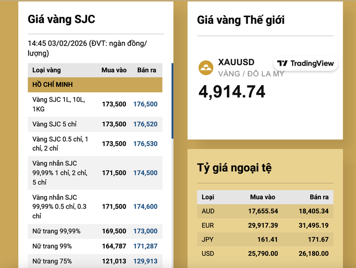 Tối 3-2, giá vàng miếng SJC, vàng nhẫn tăng nhanh - 2